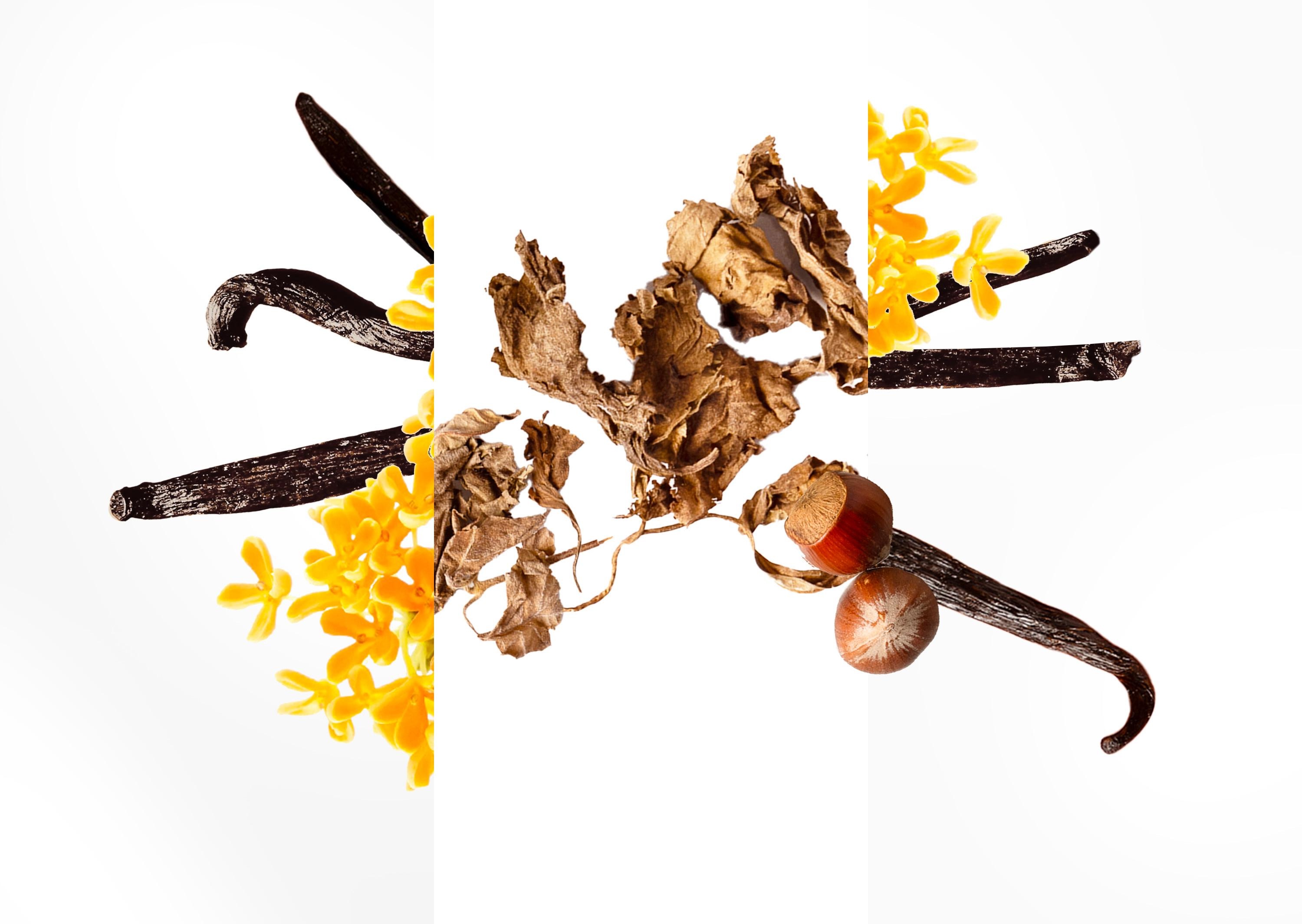 WhatsApp Image 2026-02-08 at 11.45.55